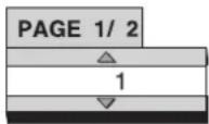 ROTEL RDV-1045 - BSP Selection menu example: - 1