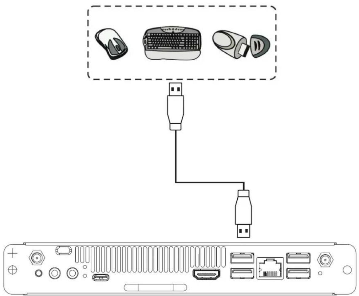Diagram showing connection between a computer interface via USB cable, with labeled hardware components including mouse, keyboard, and Ethernet ports.