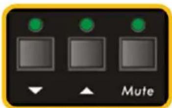Mute