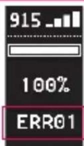 915 100% ERR01