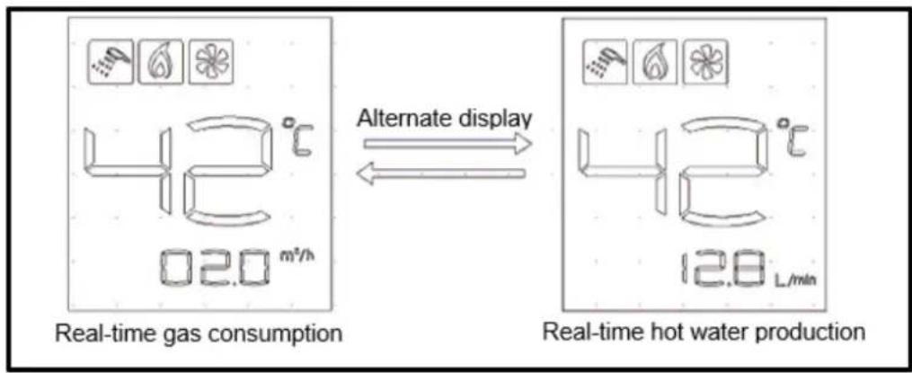 Real-time gas consumption Alternate display 42°C 02.0 m³/h 42°C 12.8 L/min Real-time hot water production