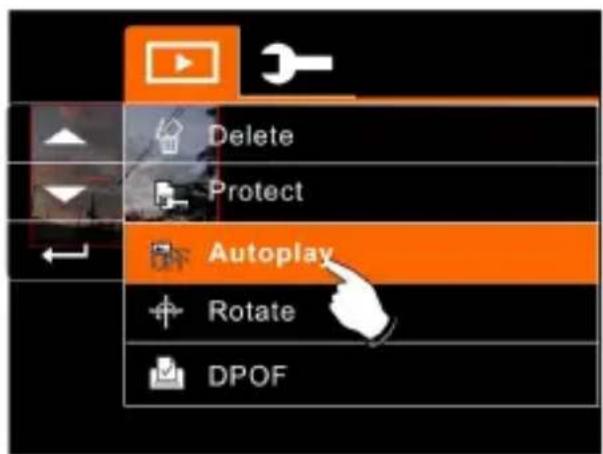 Delete Protect Autoplay Rotate DPOF