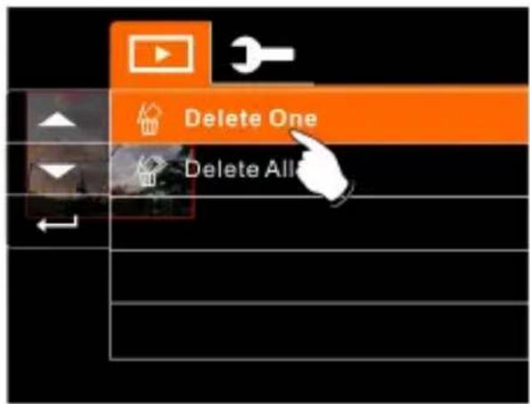 Delete One Delete All