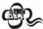Newland FM80 Salmon - AIM ID Prefix - 3