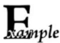Newland FM80 Salmon - Explanation of Icons - 4