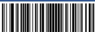 Newland FM80 Salmon - Restore the default Code IDs of all symbologies: - 26