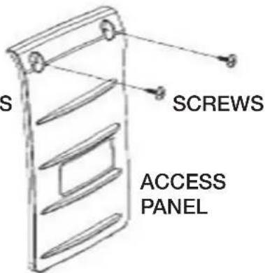 S SCREWS ACCESS PANEL