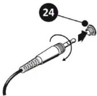 24