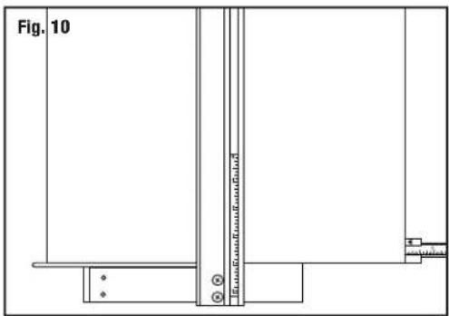 Fig. 10