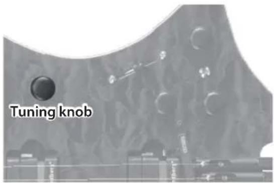 BOSS Strandberg V-BDN - Selecting Tunings - 2