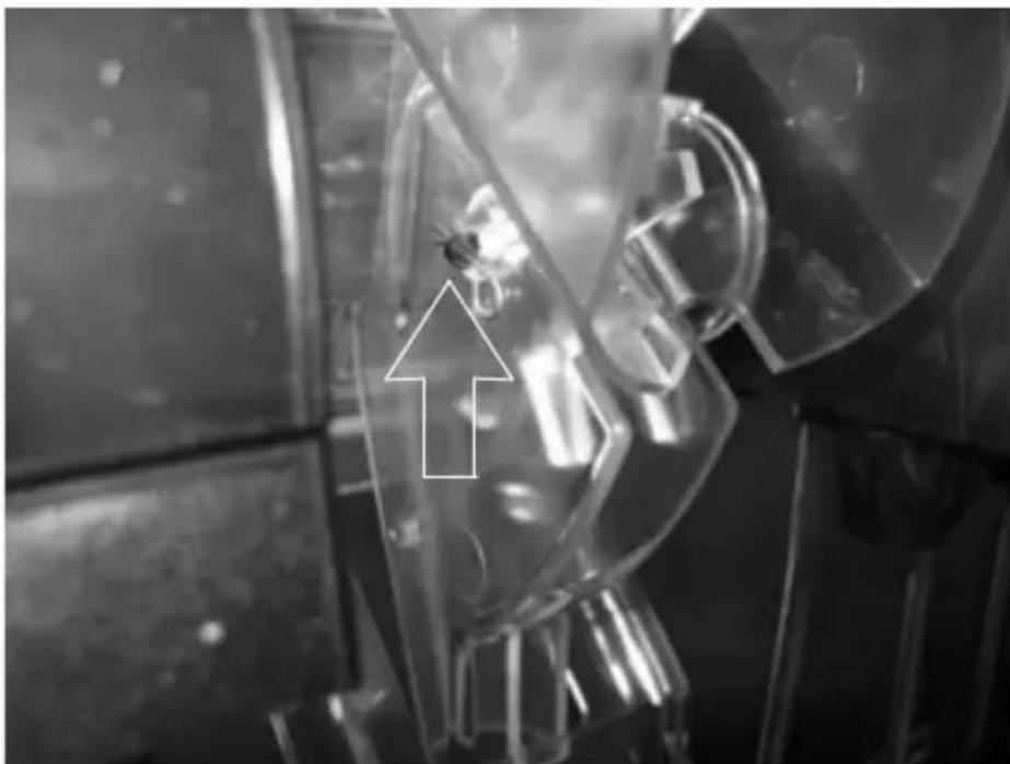 Servend S-200 - Remove ice wheel: - 1