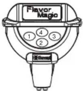 Flavor. Magic 1 4 3 2 蛋Kmmb