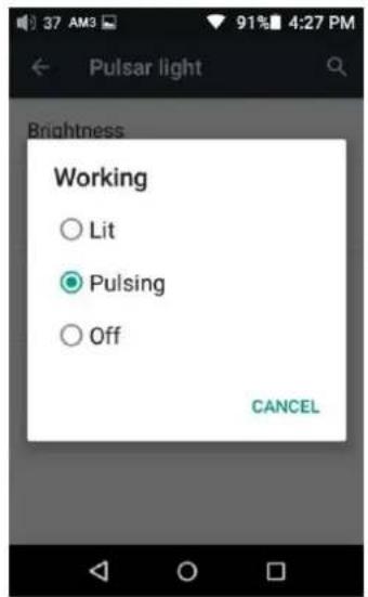 Pulsar light Brightness Working ○ Lit ● Pulsing ○ Off CANCEL