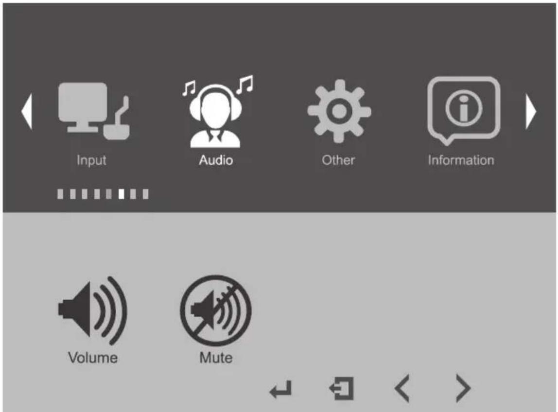 Input Audio Other Information Volume Mute