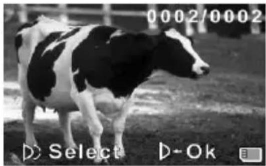 0002/0002 D Select D-Ok