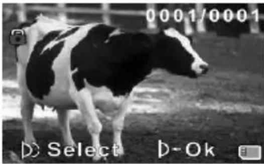 0001/0001 D Select D-Ok