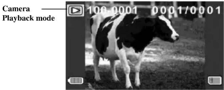 Camera Playback mode 100 0001 0001/0001