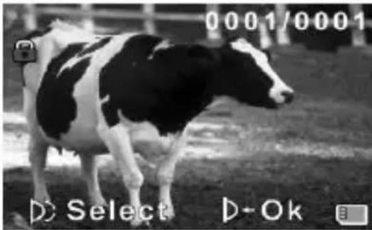 0001/0001 D Select D-Ok