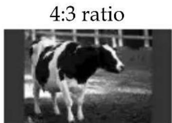 4:3 ratio