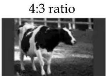 4:3 ratio