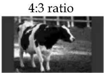 4:3 ratio