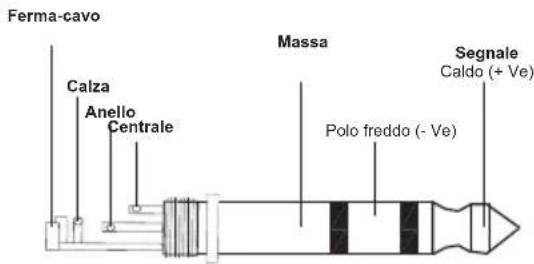 Ferma-cavo Calza Anello Centrale Massa Polo freddo (- Ve) Segnale Caldo (+ Ve)