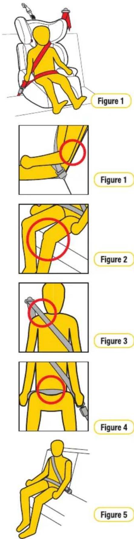 Figure 1 Figure 1 Figure 2 Figure 3 Figure 4 Figure 5