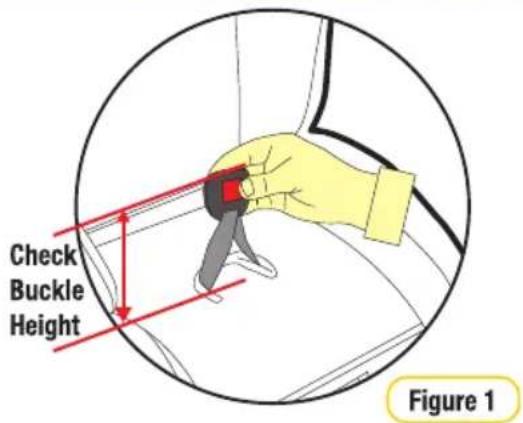 Check Buckle Height Figure 1