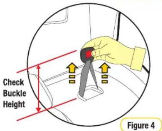 Check Buckle Height Figure 4