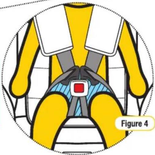 InfaSecure Grandeur Go - IMPORTANT - 1
