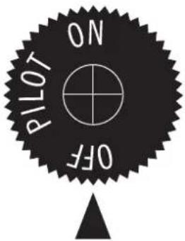 PILOT OF NO