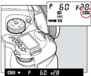P 60 F28 ISO • P 60 R28
