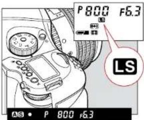 P 800 F6.3 LS AS • P 800 .63