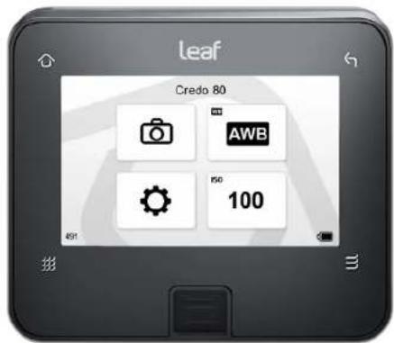 Leaf Credo 80 AWB 560 100 491