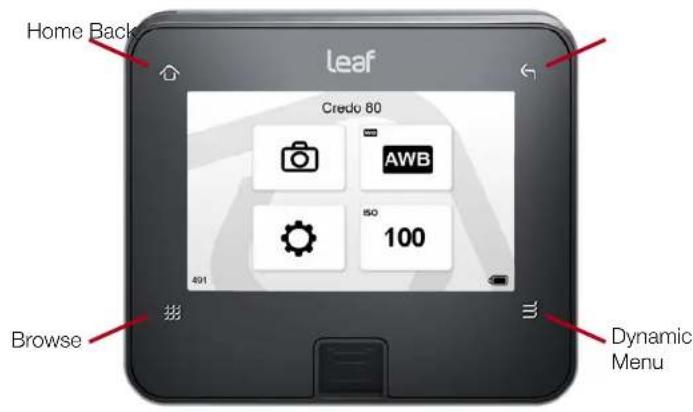 Home Back Leaf Credo 80 AWB ISO 100 491 Browse Dynamic Menu