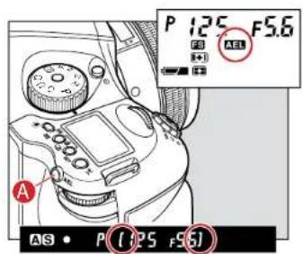P 12.5 F5.6 AS • P(0.5 F5.6)