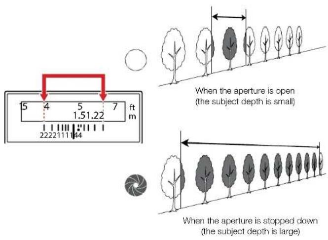 When the aperture is open (the subject depth is small) When the aperture is stopped down (the subject depth is large)