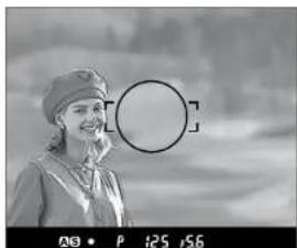 MAMIYA Credo 1.2 - When Auto Focus Fails - 3