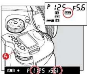 P 125 F5.6 A 08 • P (125 F5.6)