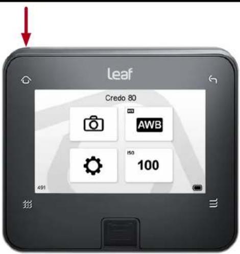 Leaf Credo 80 AWB 150 100 491