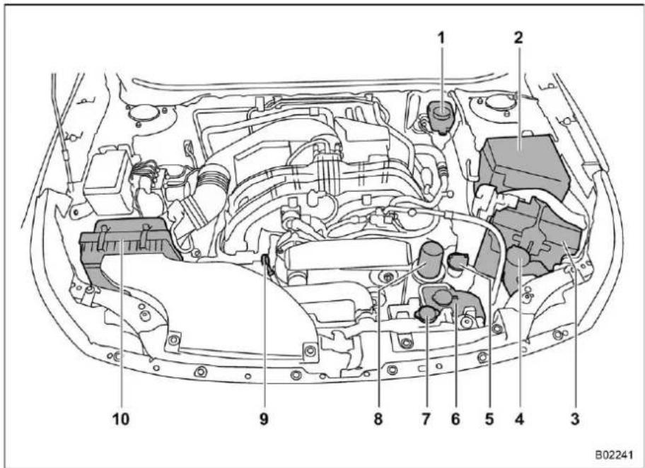 SUBARU Legacy Premium (2024) - ■ 2.5 L Models - 1