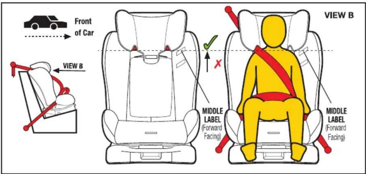 InfaSecure Luxi II Mini Swirl - Smaller Child (using lap-sash seatbelt) - 1