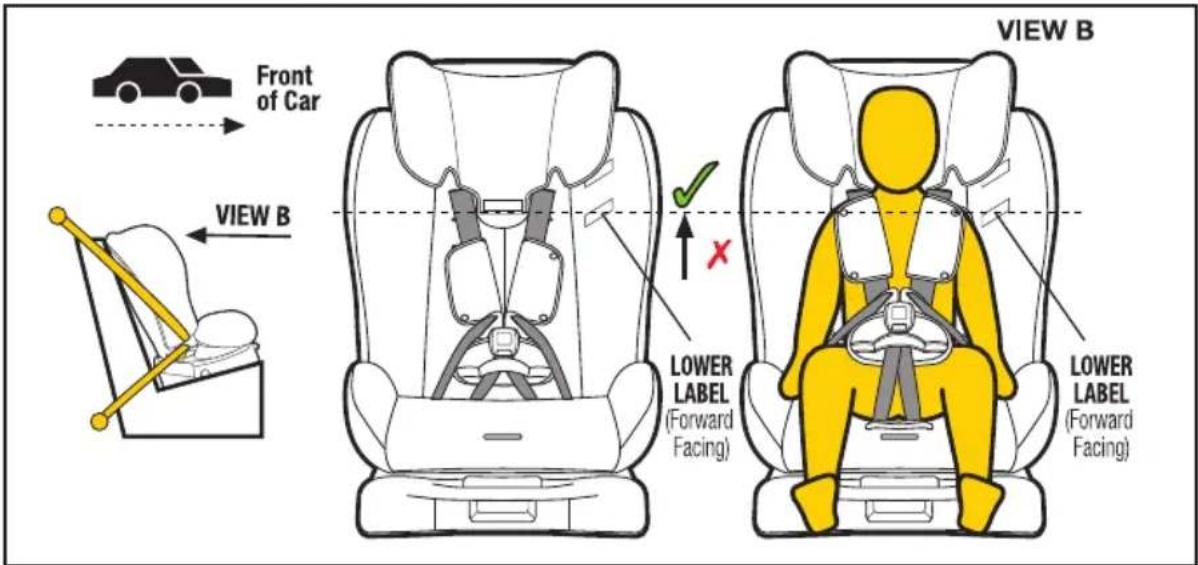 InfaSecure Luxi II Mini Swirl - Smaller Toddler (using inbuilt harness) - 1