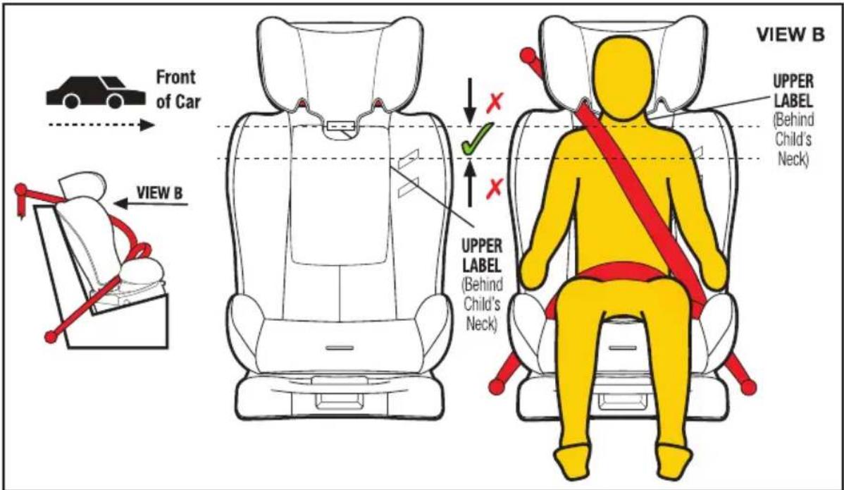 InfaSecure Luxi II Mini Swirl - Taller Child (using lap-sash seatbelt) - 1