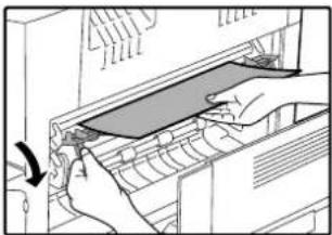 OLIVETTI d-Copia 16W - Misfeed in the transport area - 1