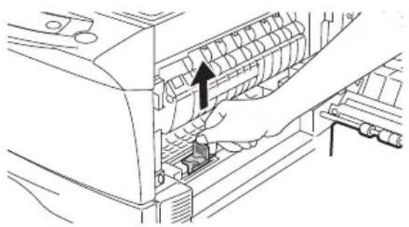 OLIVETTI d-Copia 150D - Transfer charger - 2