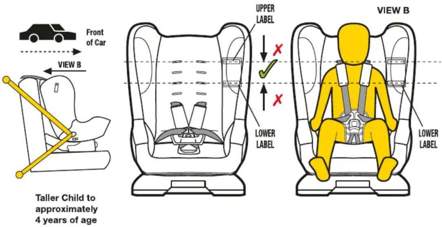 InfaSecure Cosi Compact ll - Taller Toddler (using inbuilt harness) - 1