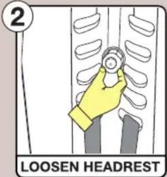 InfaSecure Gold Slate - Forward Facing Mode (Use for toddlers) - 4