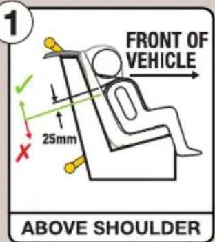 InfaSecure Gold Slate - Forward Facing Mode (Use for toddlers) - 3