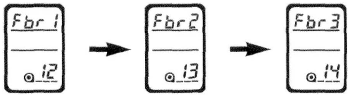 Fbr 1 _ / . 12 → Fbr 2 _ / . 13 → Fbr 3 _ / . 14